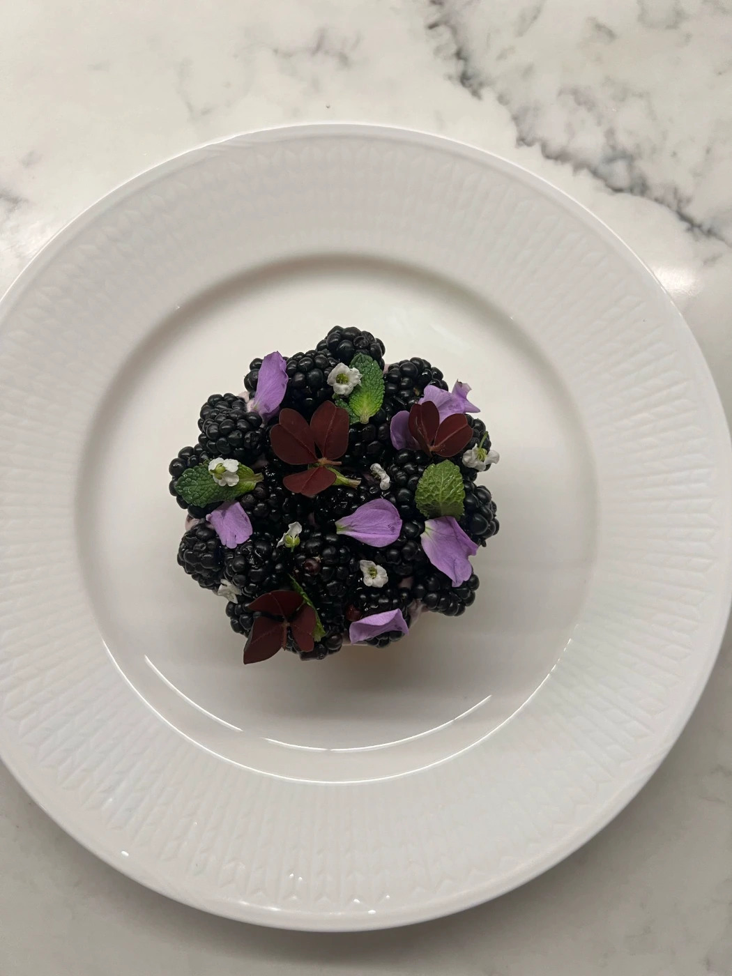 PHOTO-2026-04-05-21-36-59 (4).jpg