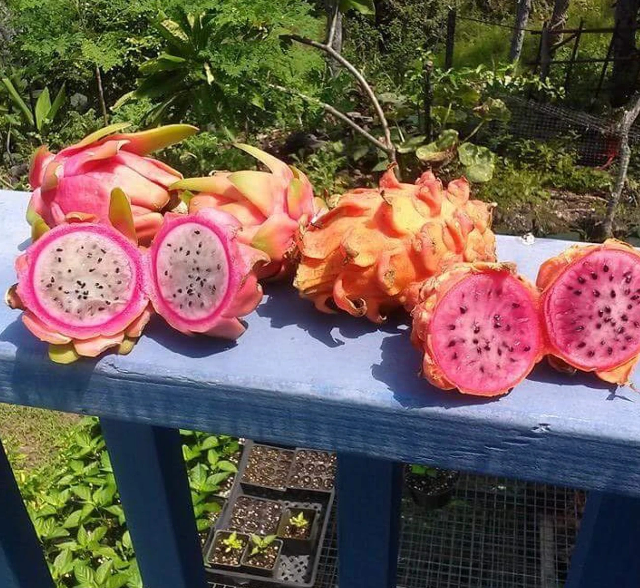 Captura de pantalla 2026-04-07 a la(s) 11.00.07 a.m..png