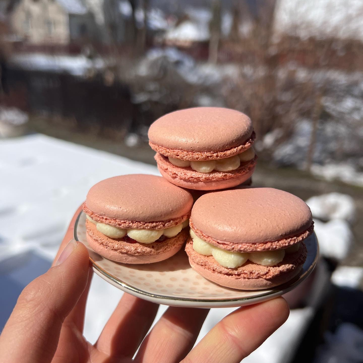 Photo from chef Tosia Sawicka