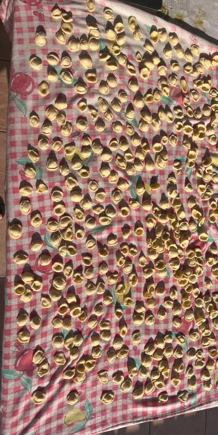 Orecchiett.jpeg Orecchiett.jpeg