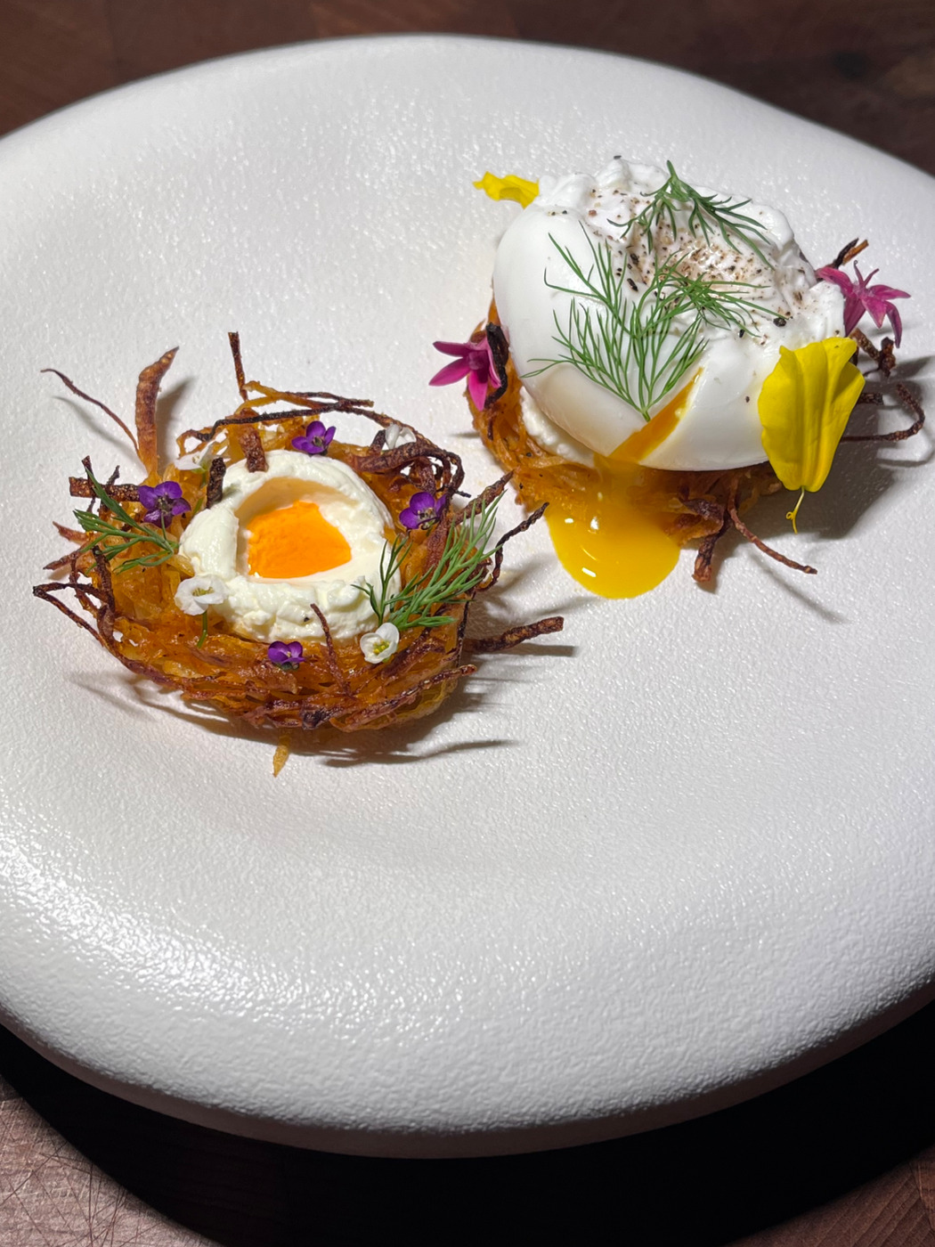 tempImageElVj5H.jpg tempImageElVj5H.jpg