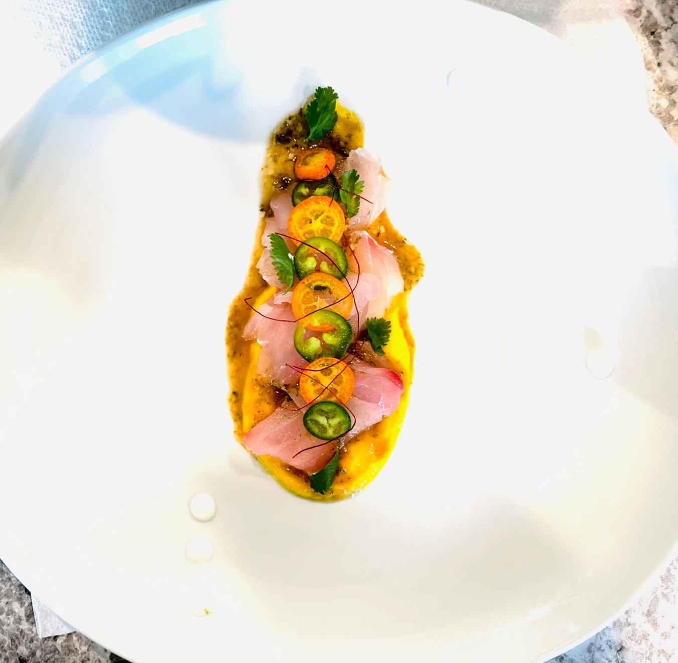 Red Snapper Crudo - Copy.jpg