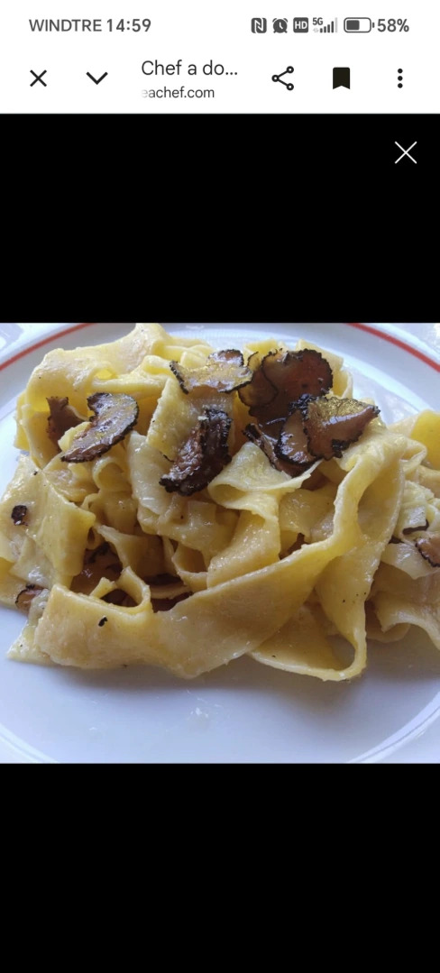 Terre di Siena