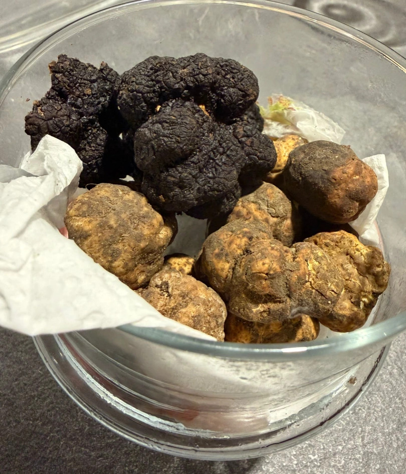 Il tartufo