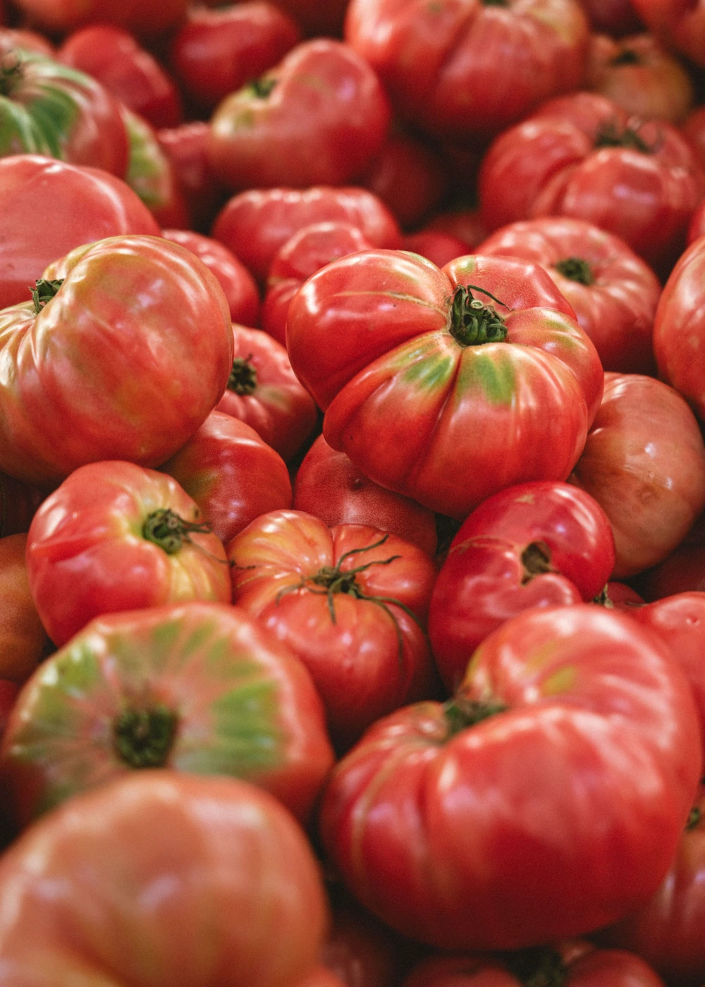 Yolandavisions-Tomates.jpg Yolandavisions-Tomates.jpg
