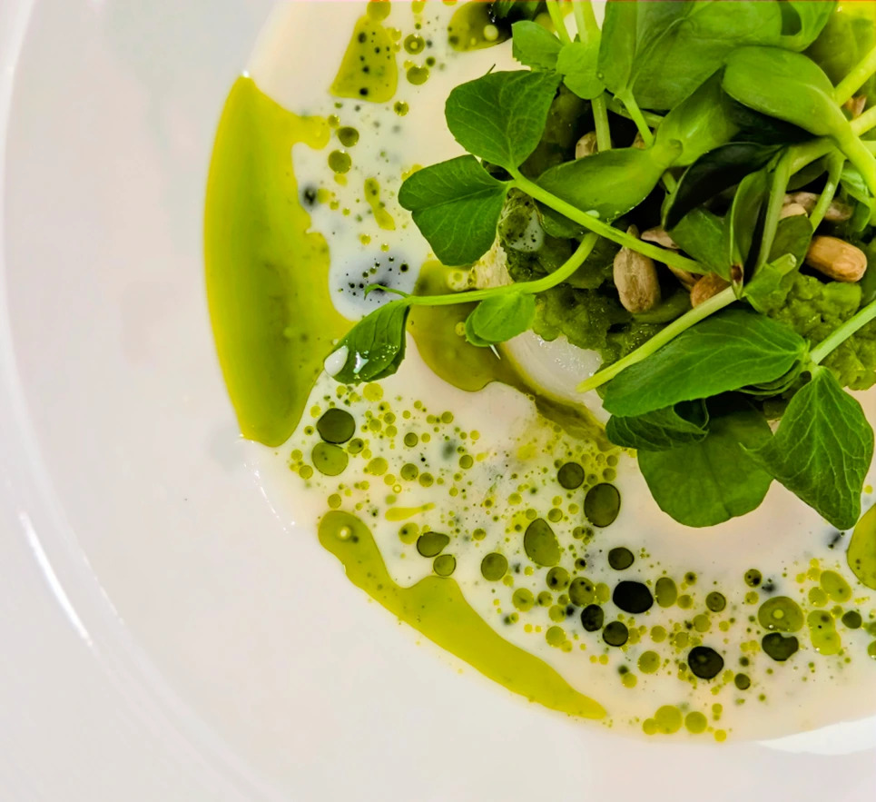 ELEGANT SIX COURSE TASTING MENU