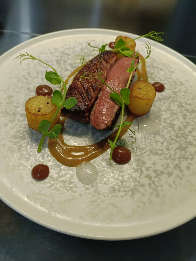 Carnivoro