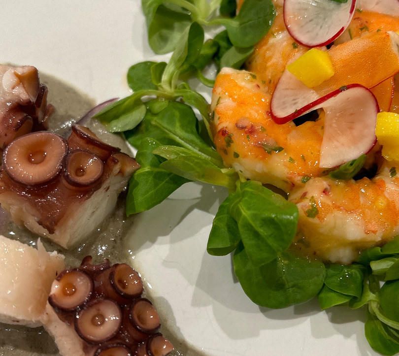 A Bit of the Ocean`s Taste