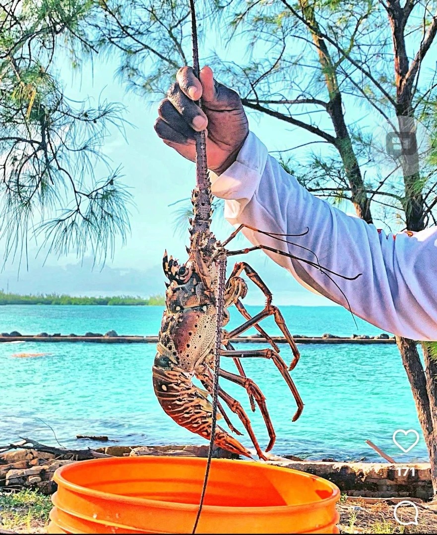 Fresh Bahamian Seafood