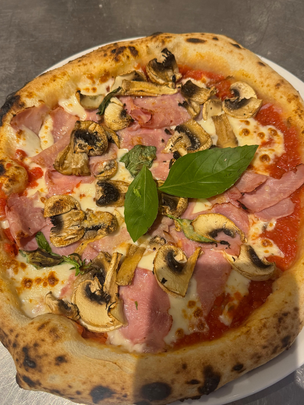 IMG_5919.jpeg