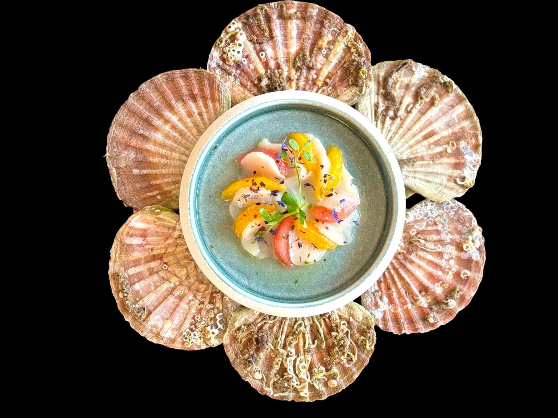 carpaccio st jacque.jpg