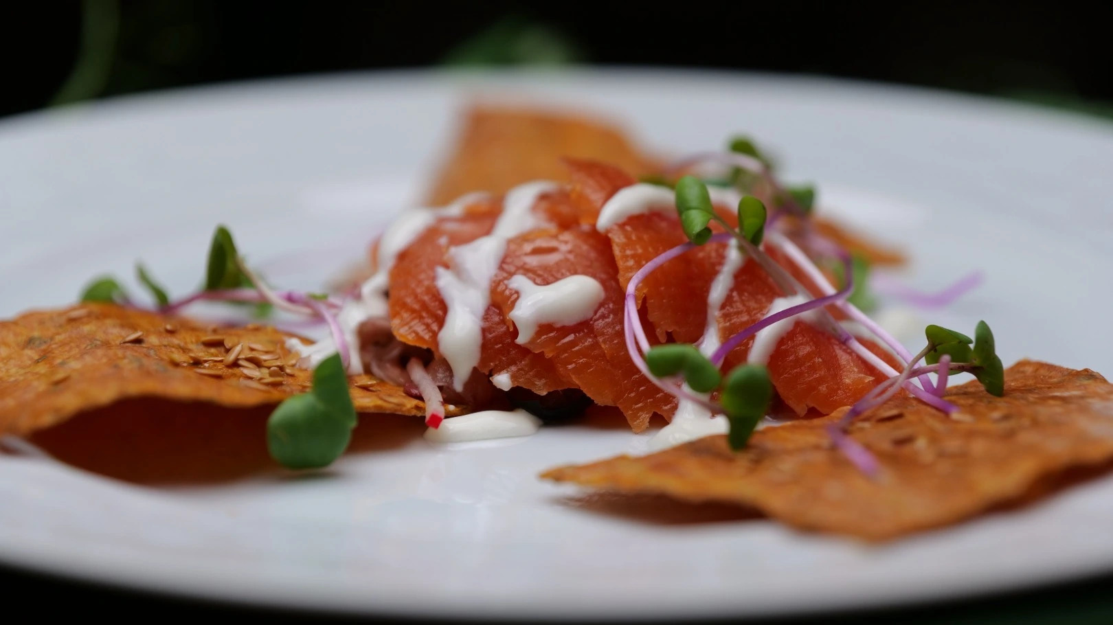 Through the Culinary Caribbean