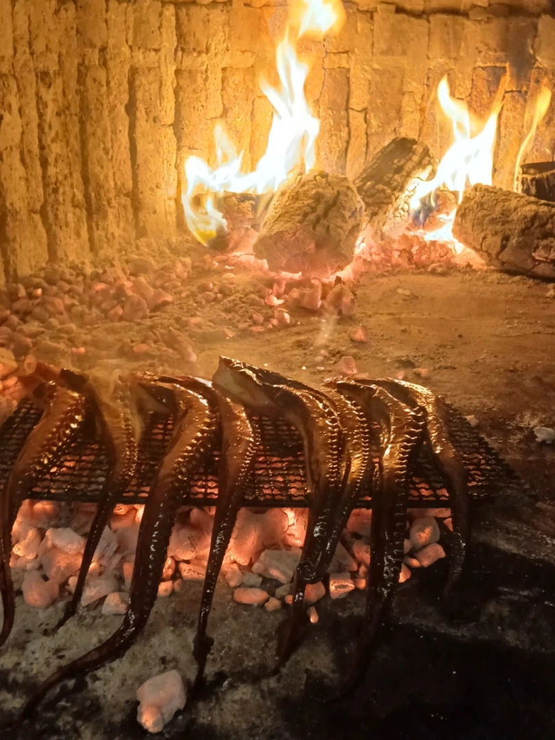 sabrozon