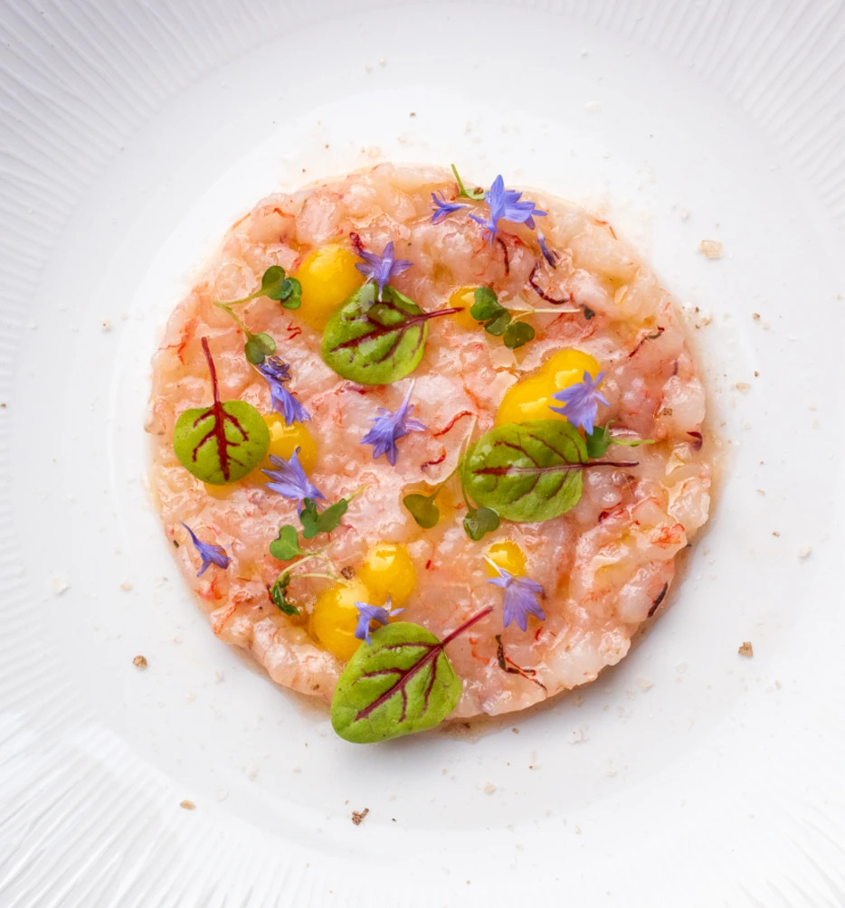 Sentho - Alessandro Felici-300.jpg