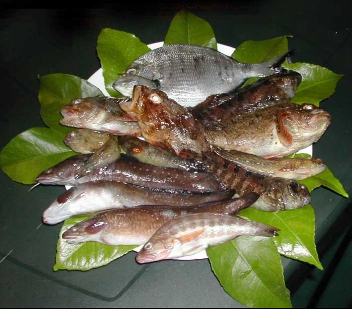 ma peche dans les calanques.jpg