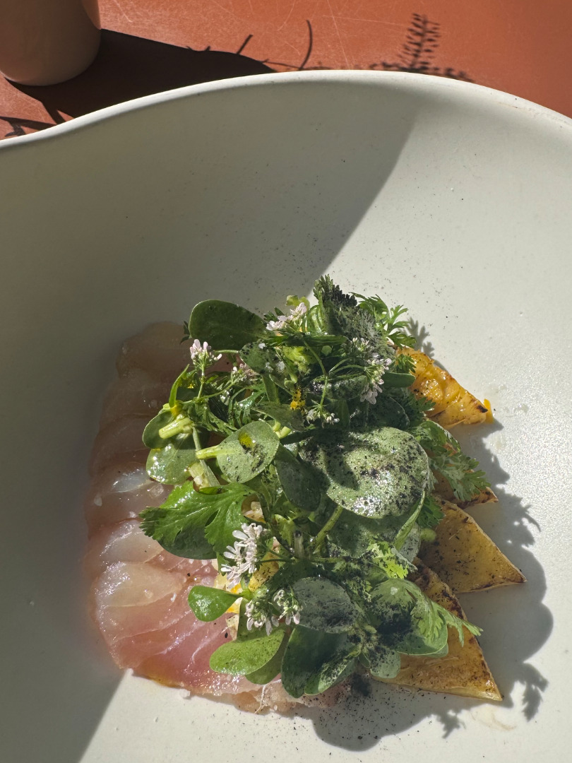 Lo más fresco del mar con técnica y sabor