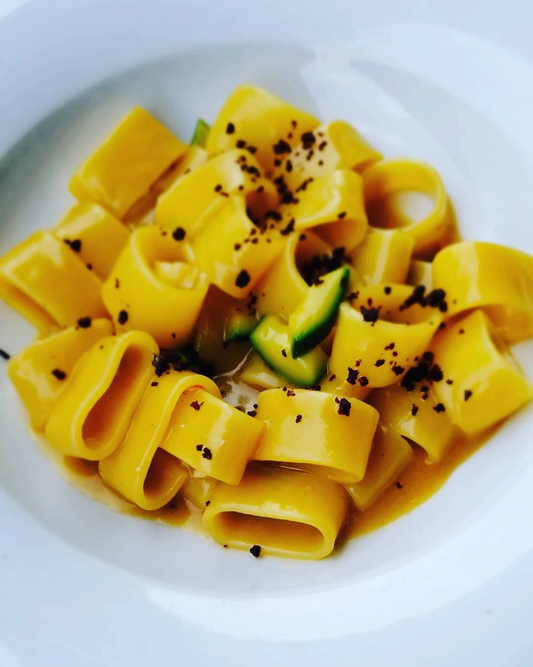 Paccheri ali'astice~ House made pasta accompanied by succulent lobster, fresh zucchini, and a sprinkle of olive crumble. Buon appetito!.jpg Paccheri ali'astice~ House made pasta accompanied by succulent lobster, fresh zucchini, and a sprinkle of olive crumble. Buon appetito!.jpg