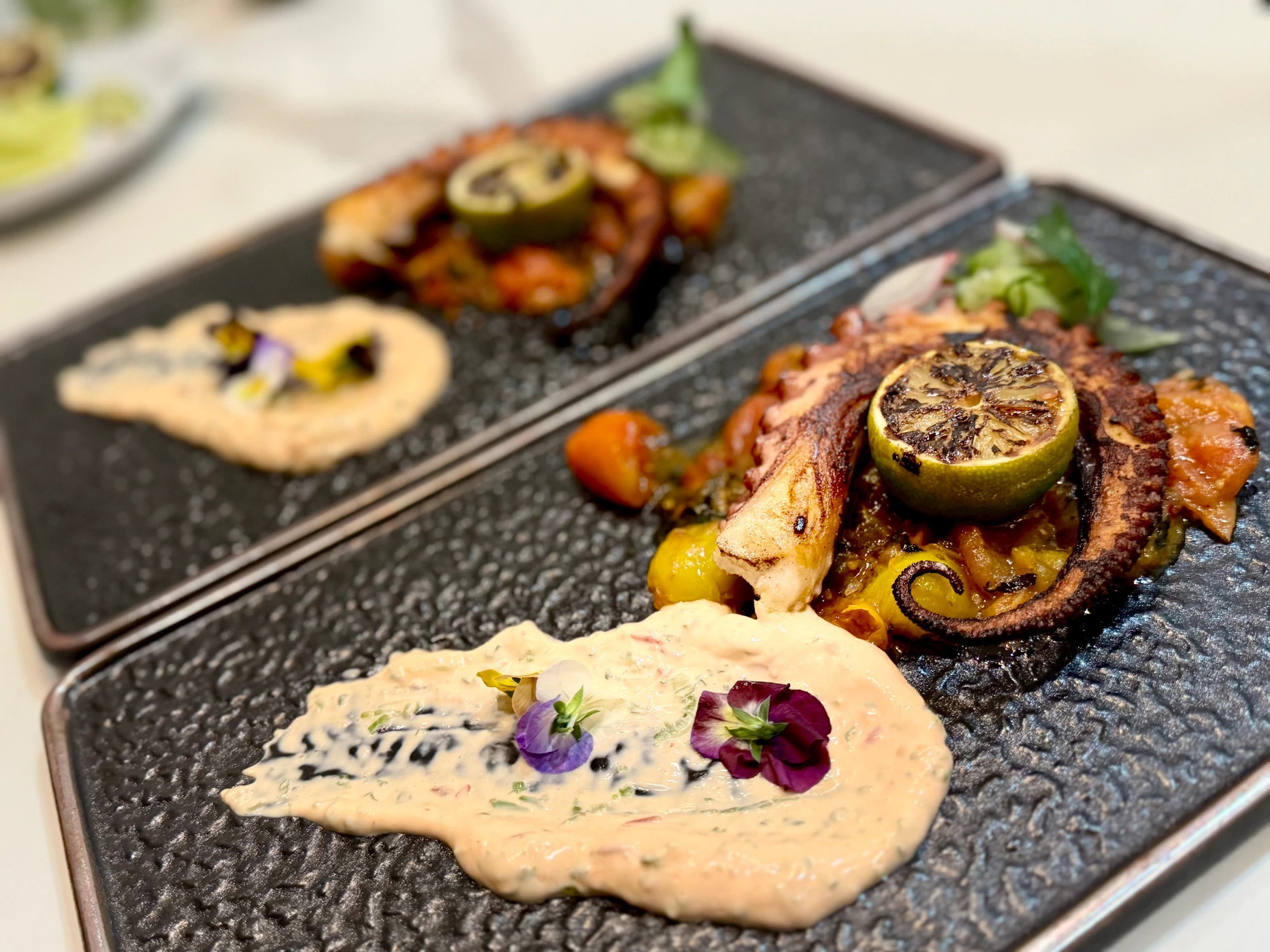 charred-octopus-romantic-dinner-chef-marco-island.jpeg charred-octopus-romantic-dinner-chef-marco-island.jpeg