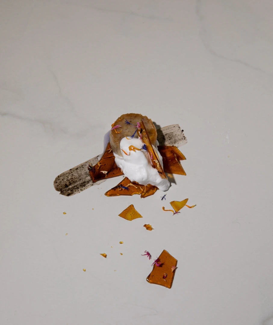 Adaptogen Experiences