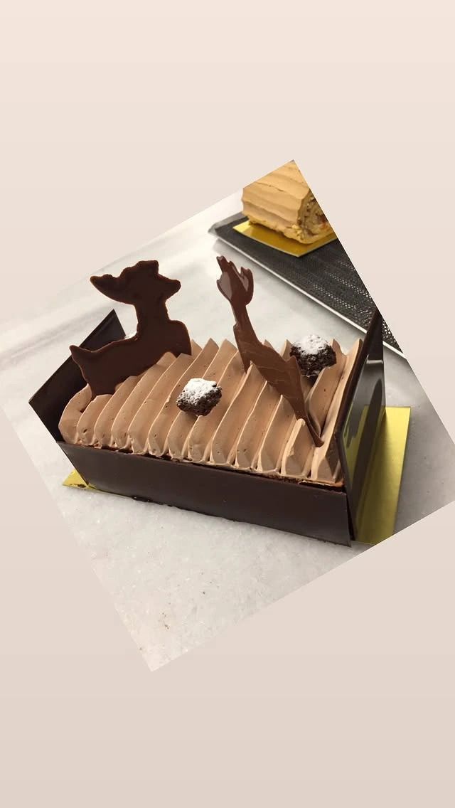 buche de noel trio chocolate.jpeg buche de noel trio chocolate.jpeg