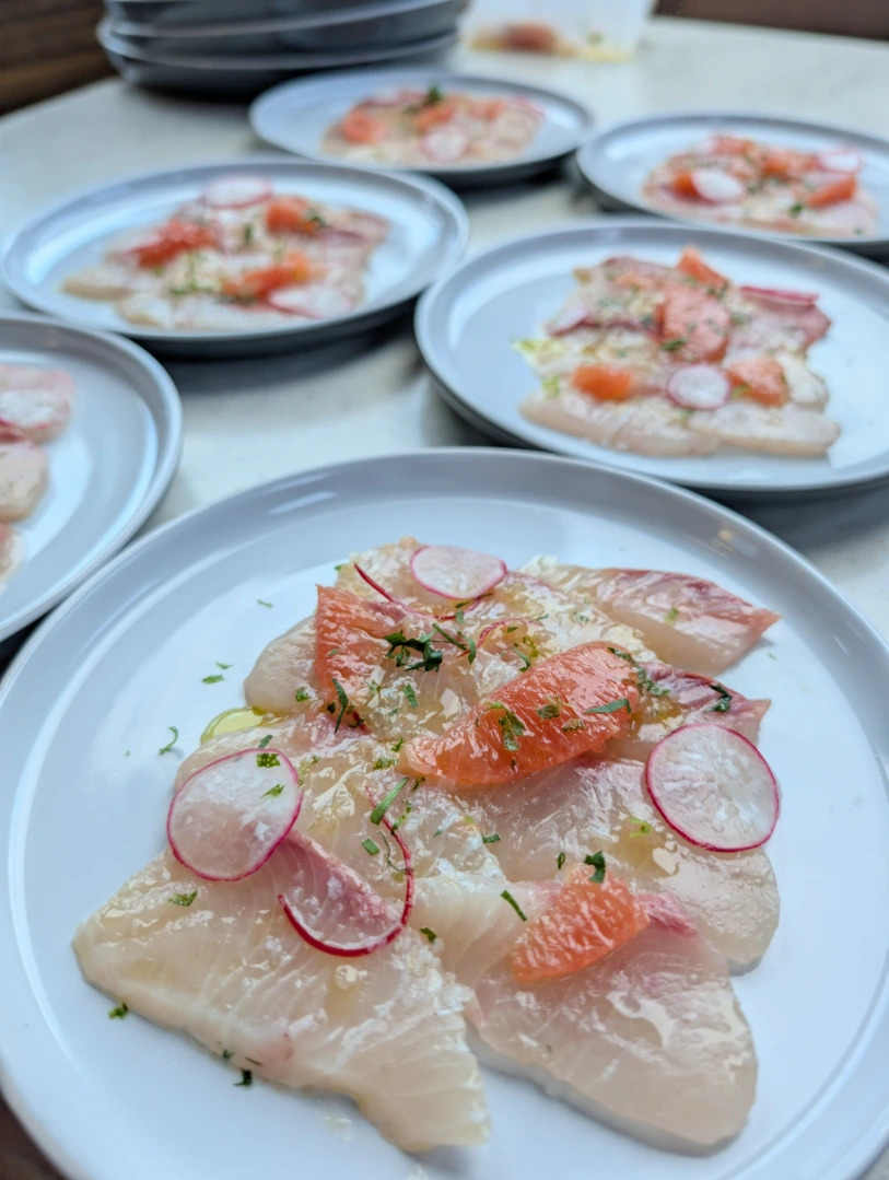 All things seafood