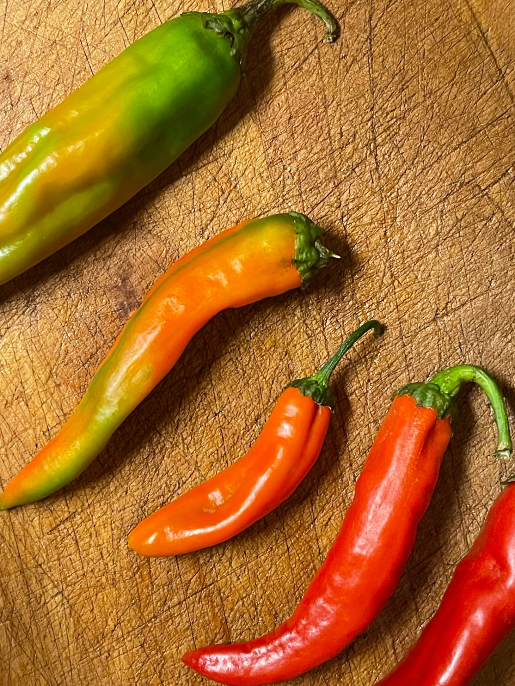 Hatch Chiles.jpeg Hatch Chiles.jpeg