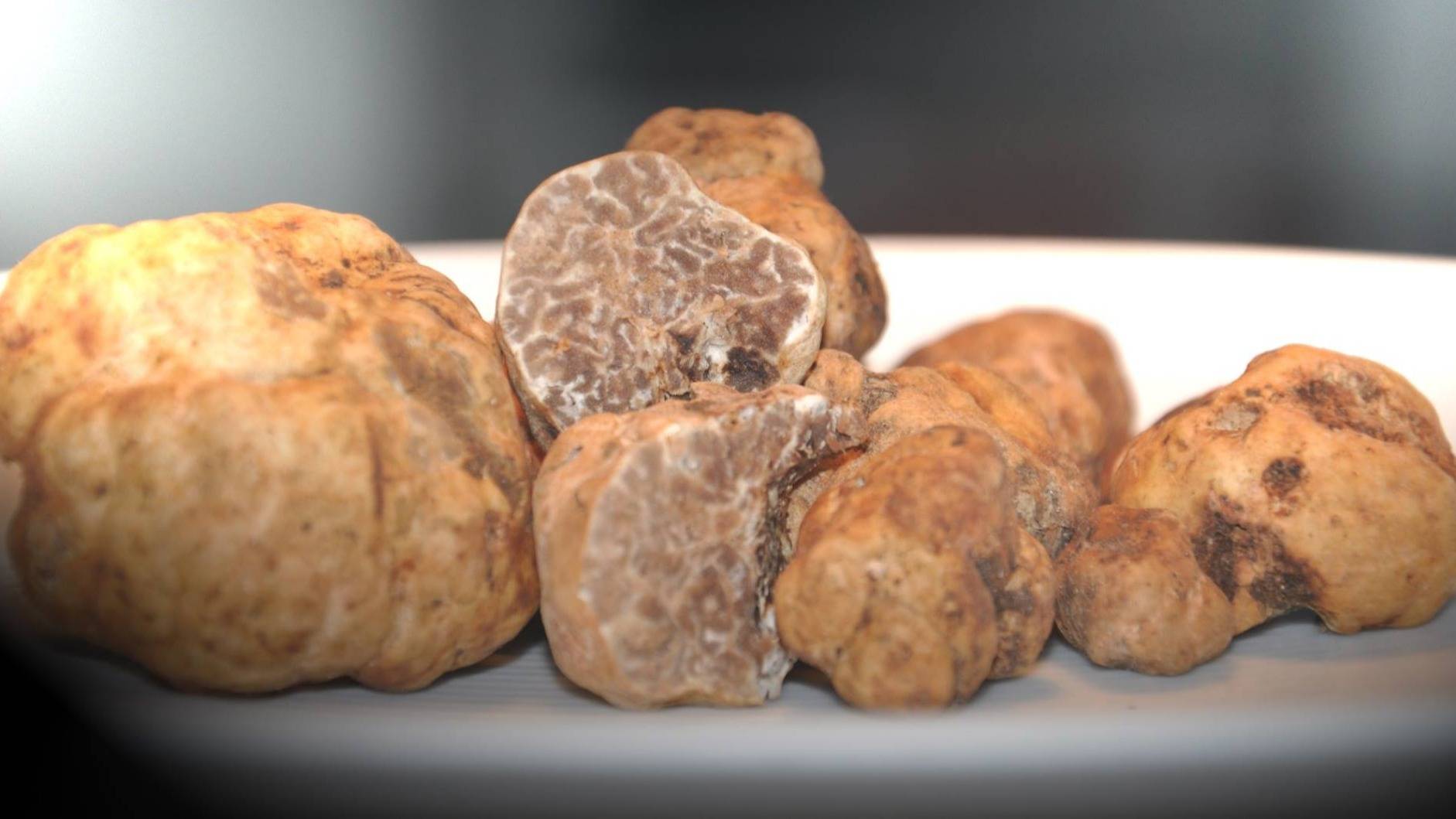 Black Truffle Exential