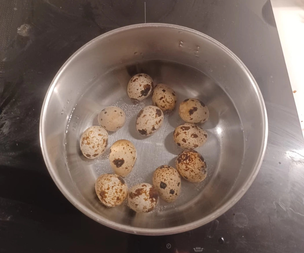 huevos de ortikia.jpeg huevos de ortikia.jpeg