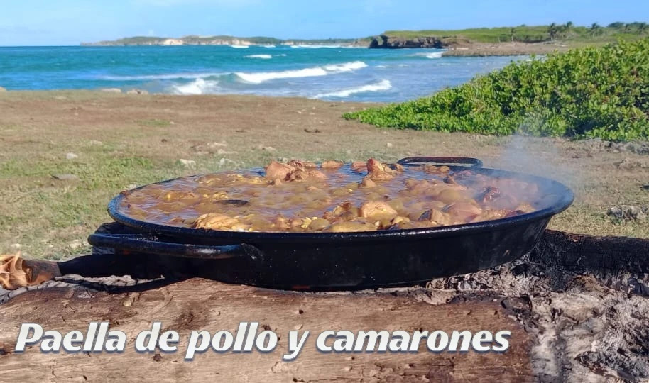 paella de pollo en la playa.JPG