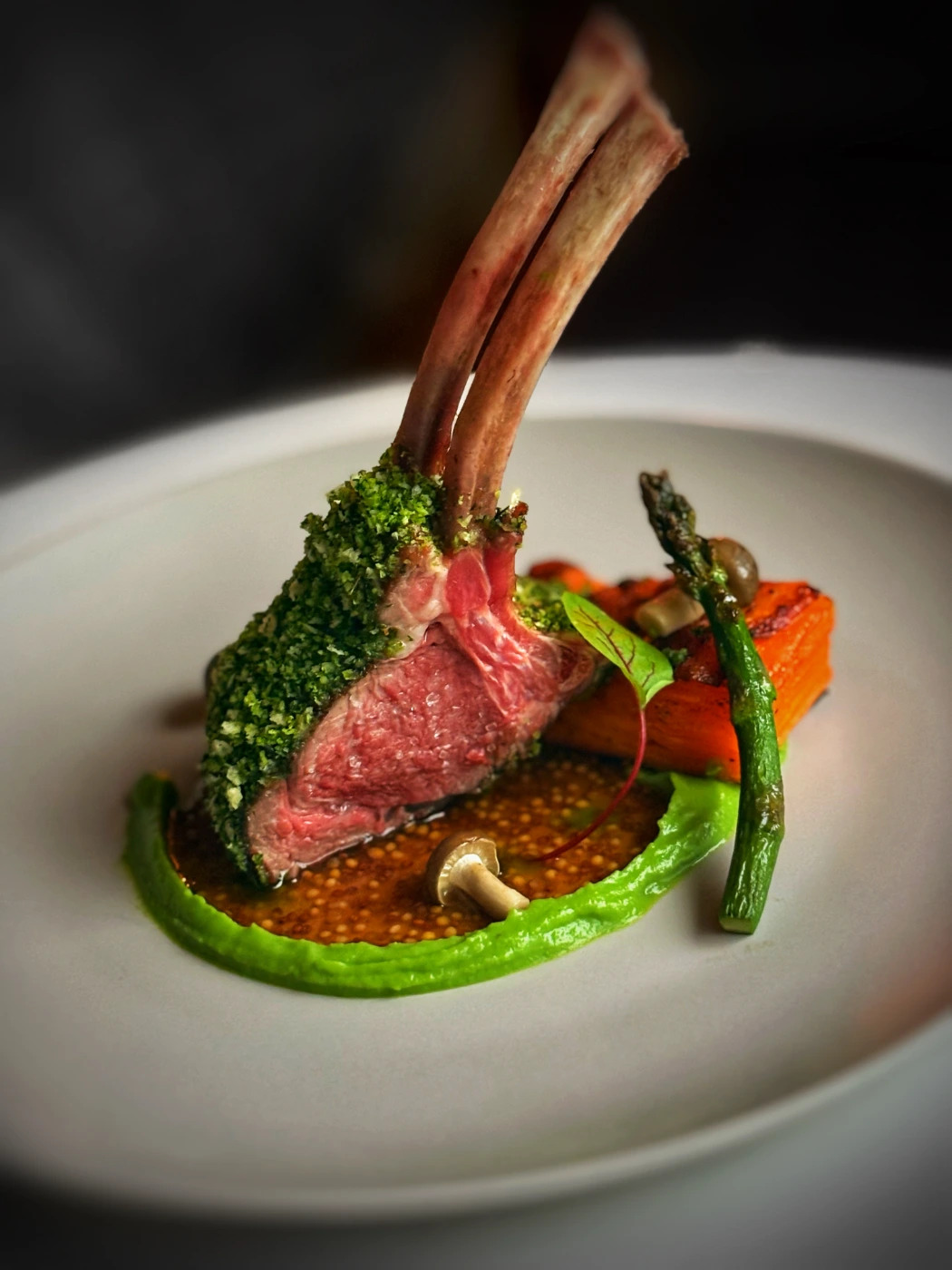lamb.jpg lamb.jpg