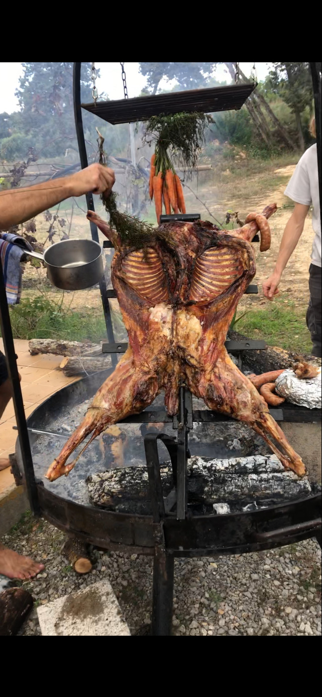 IMG_3652.png IMG_3652.png