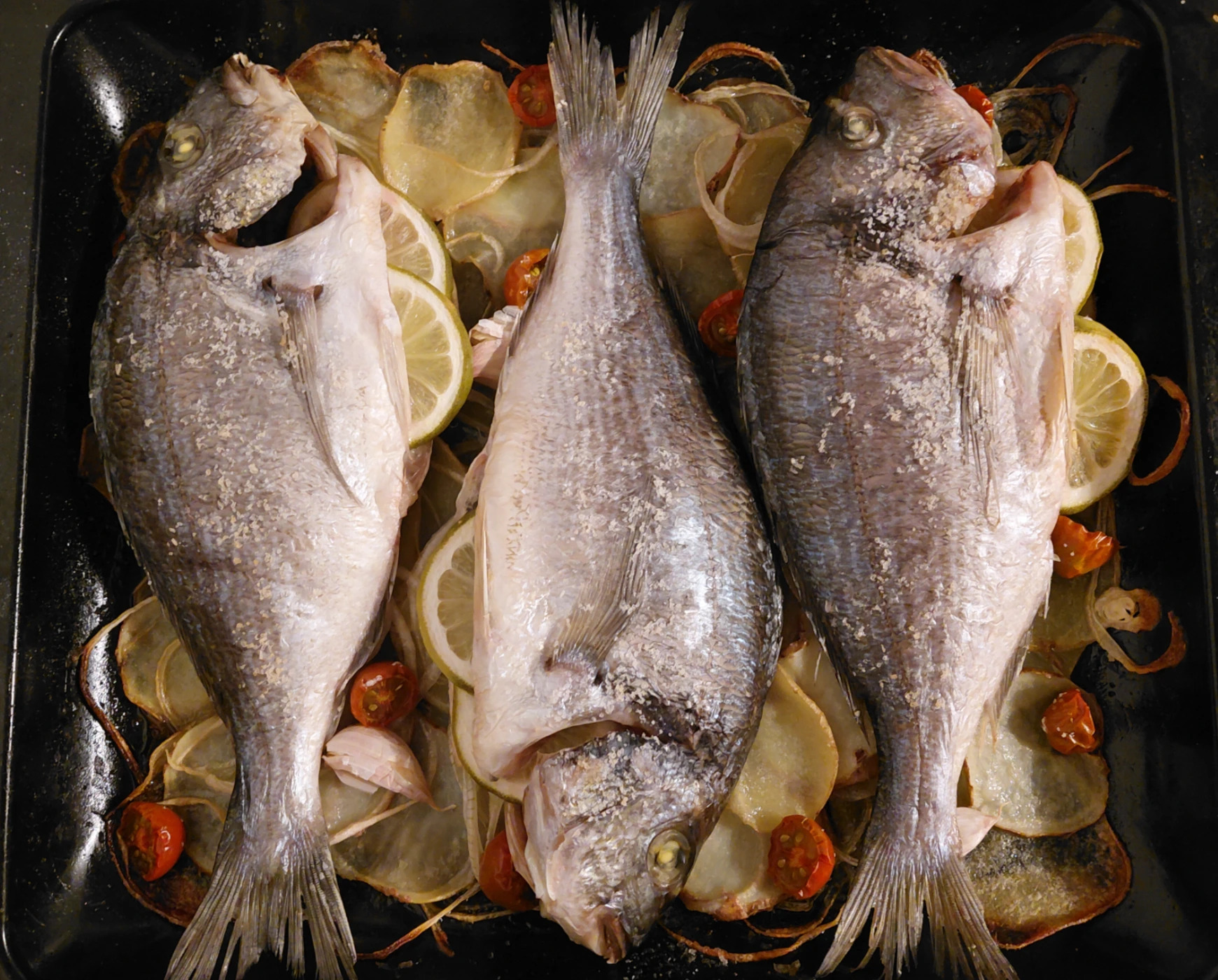 dorada.jpg dorada.jpg