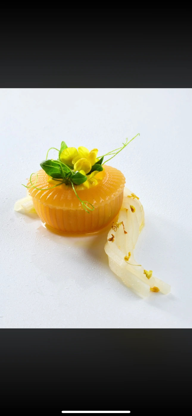 IMG_8132.PNG IMG_8132.PNG