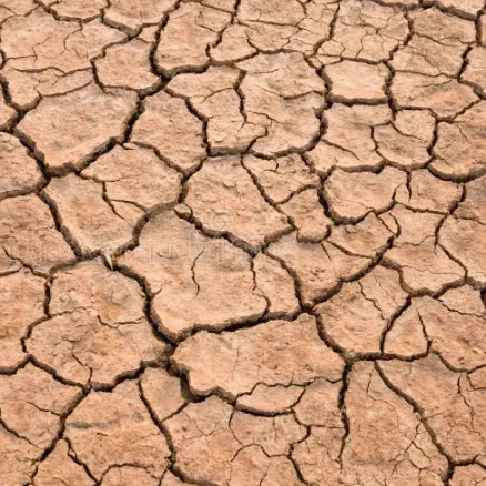TIERRA