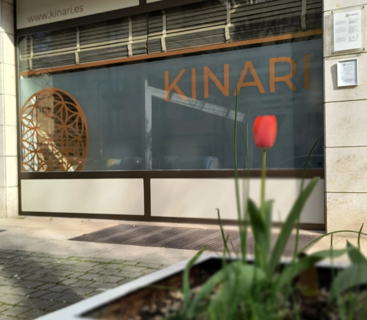 Kinari