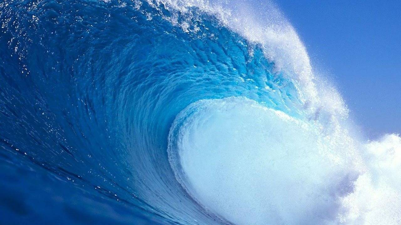'Le Onde' ( Pesce Creativo)