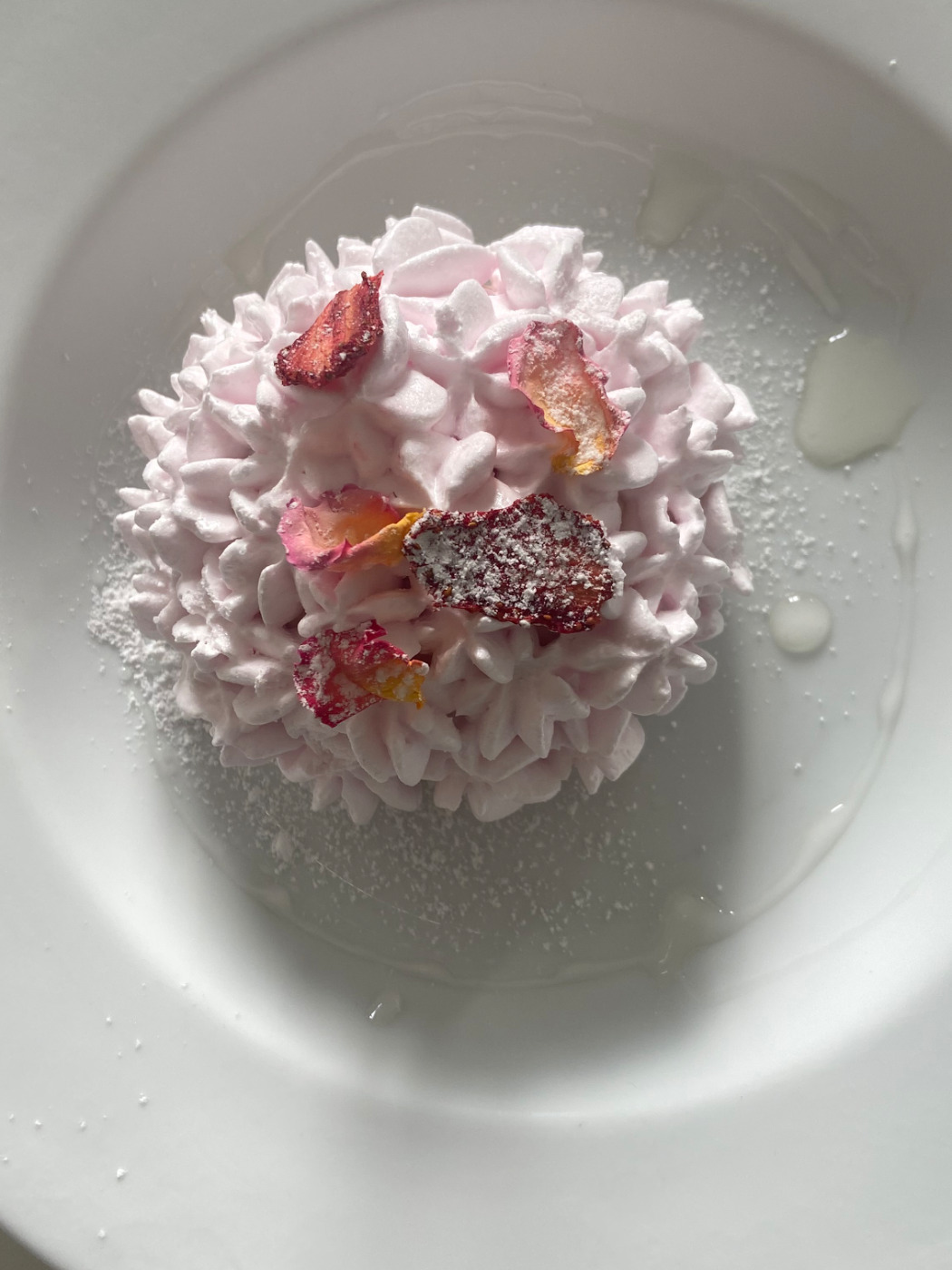 IMG_4169.jpeg IMG_4169.jpeg