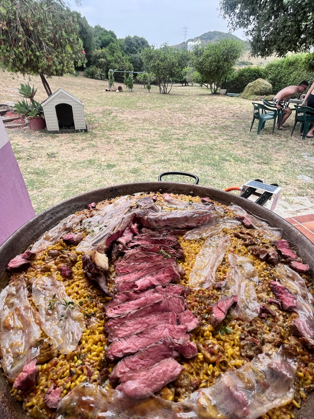 IMG_5809.jpeg IMG_5809.jpeg