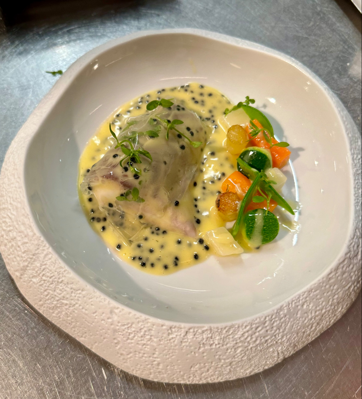 IMG_2047.jpeg IMG_2047.jpeg