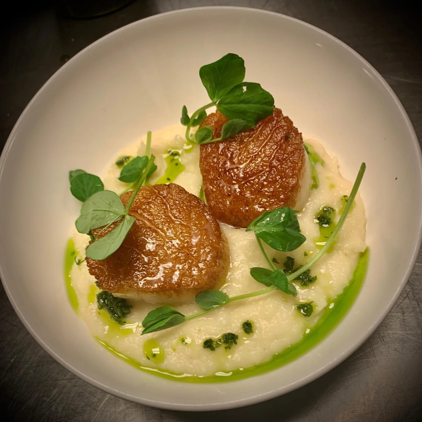 scallop.jpg