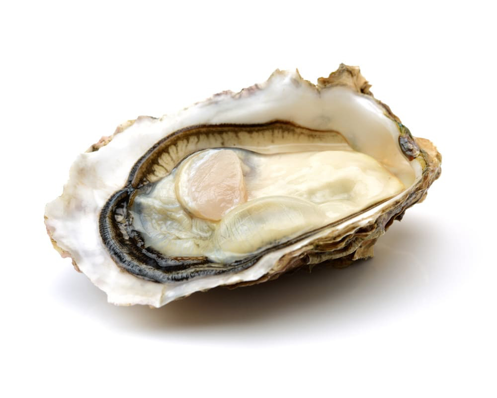 DEGUSTACION 1