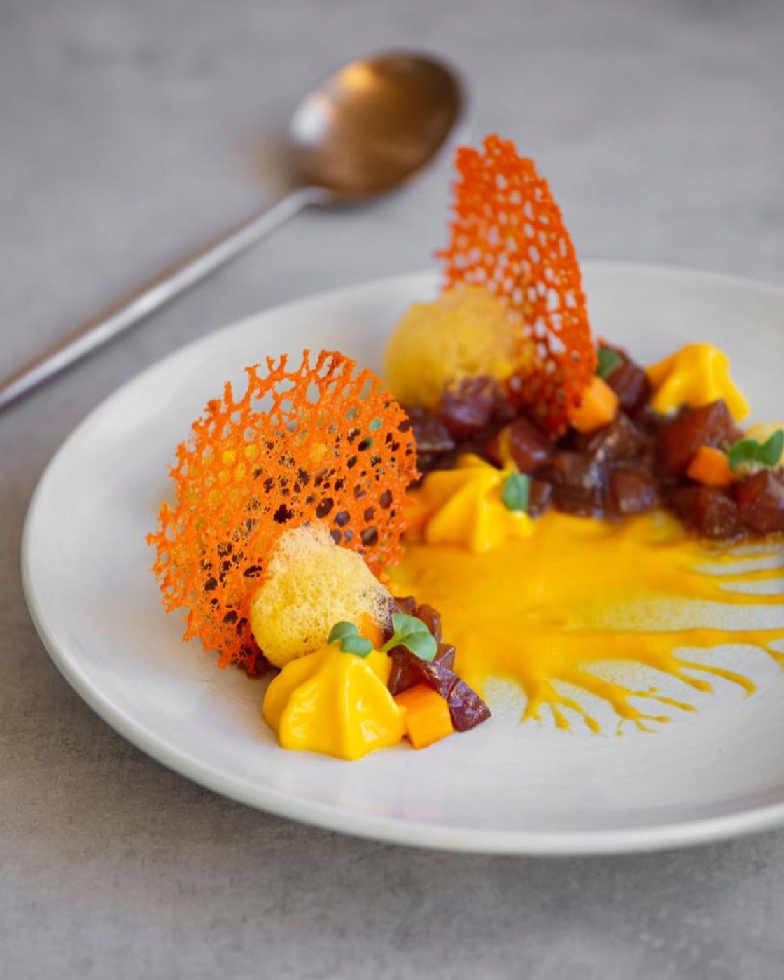TARTAR ATUN: TEXTURAS CALABAZA 1.JPG TARTAR ATUN: TEXTURAS CALABAZA 1.JPG