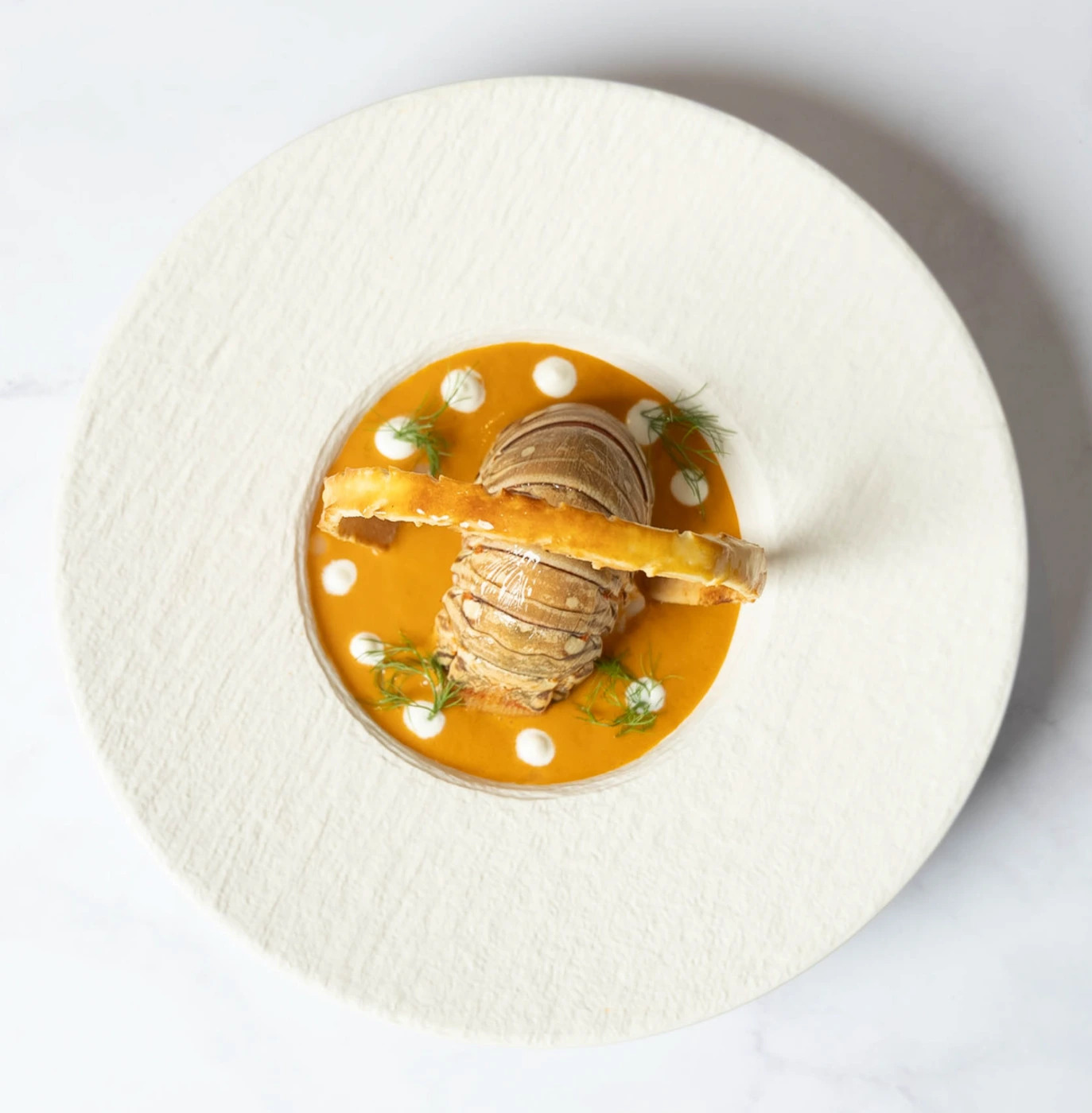 Lobster bisque Top View (6).jpg Lobster bisque Top View (6).jpg