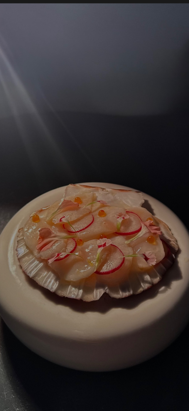 IMG_5947 2.PNG IMG_5947 2.PNG