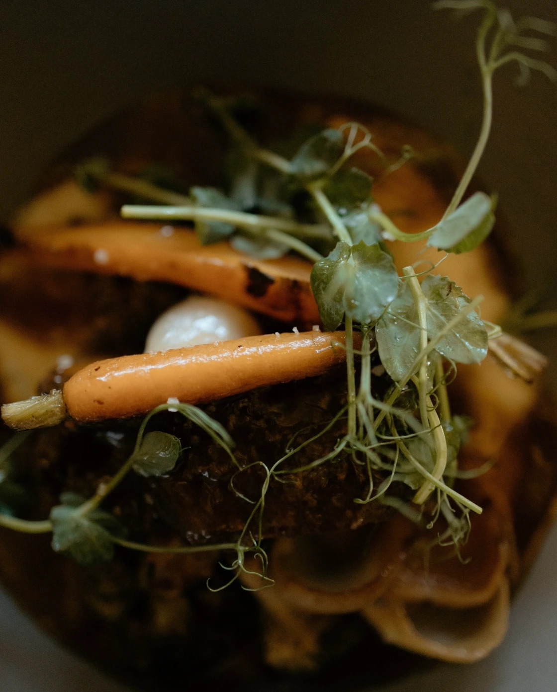 Baby carrot dish.jpg