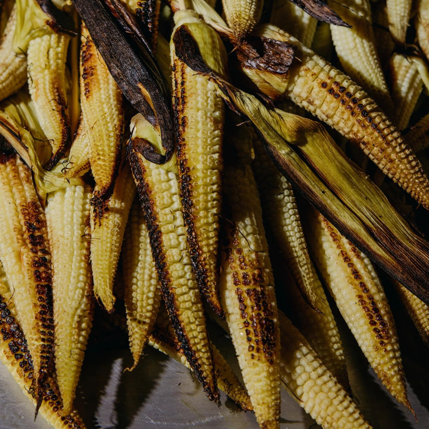 Elotes baby.jpg