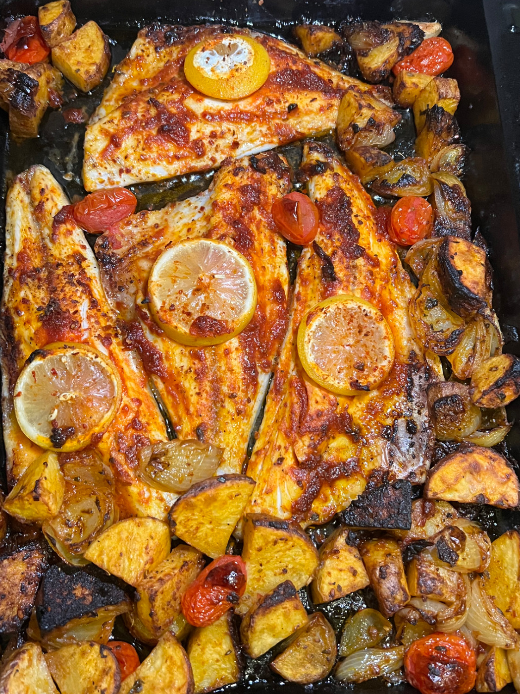 IMG_0158.jpeg IMG_0158.jpeg