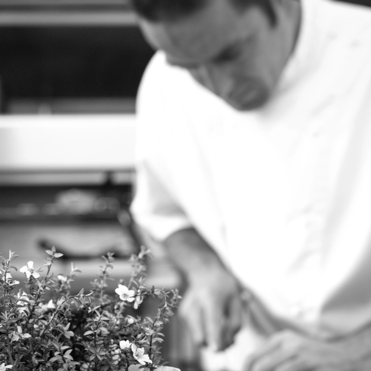 Photo from chef Jonno Rogers