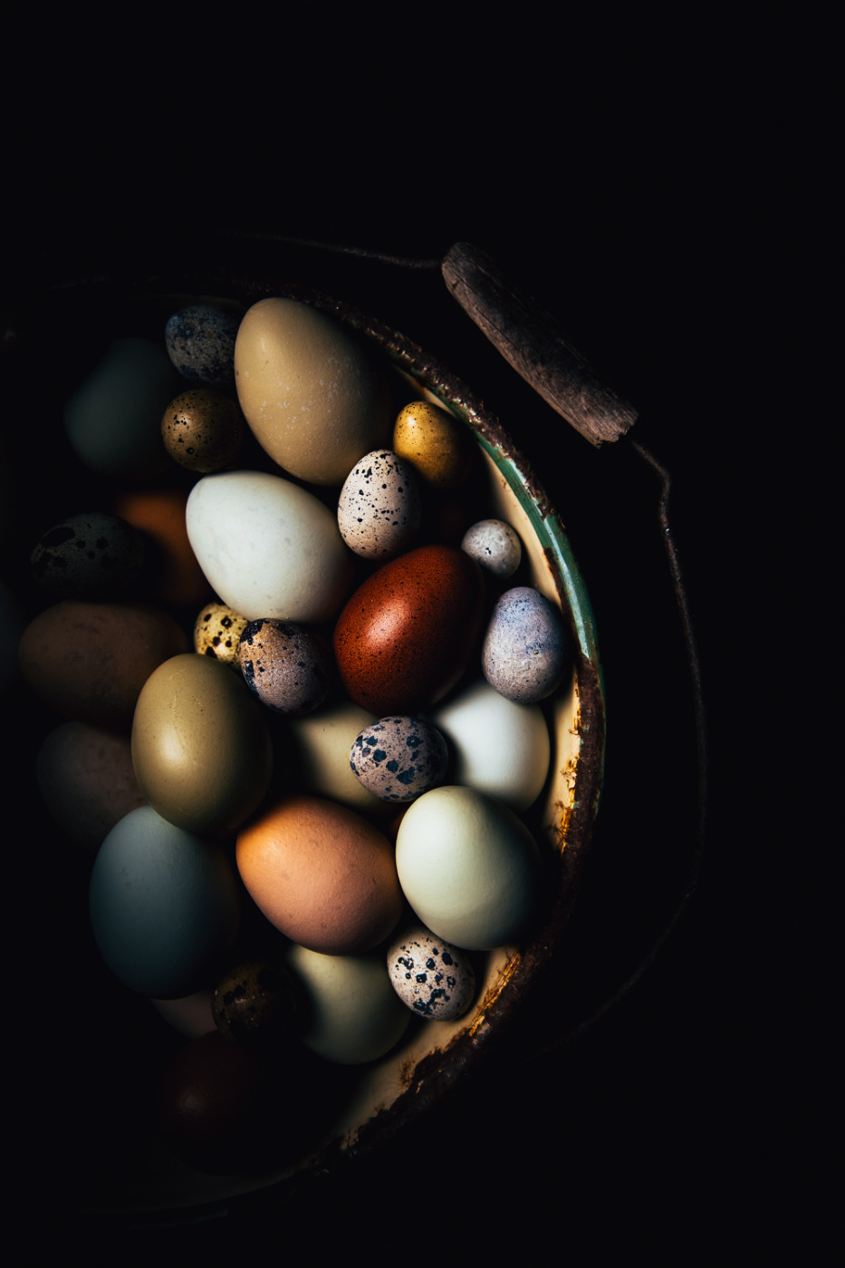Convivir_Rancho_Chapter-Opener_Eggs-1 (1).jpg