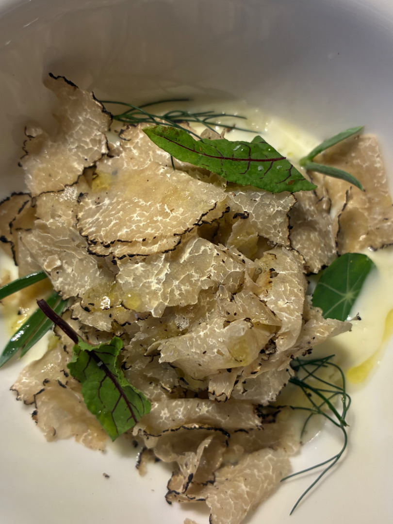 Truffle experience